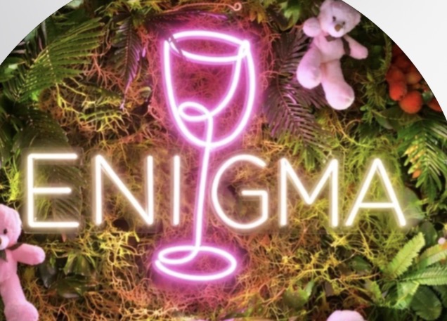 ENIGMA PUB 2.0
